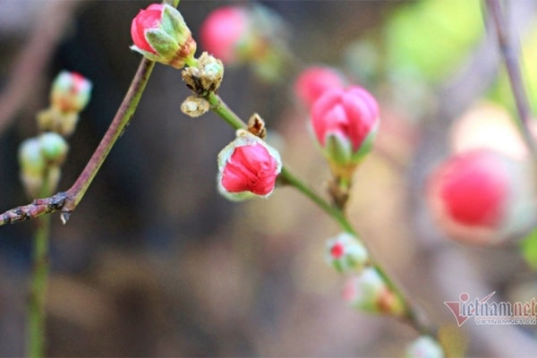 Chùm ảnh: Nhiều trẻ nhỏ cùng gia đình vượt mưa lạnh, rời Hà Nội về quê chiều 27 Tết-13