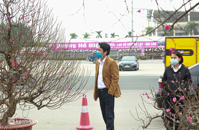 Hà Nội: Tiểu thương giảm nửa giá những gốc đào khủng ngày cận Tết, khách vẫn ngó lơ-10