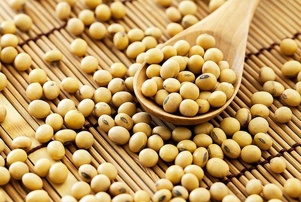 Phụ nữ có 3 thói quen xấu này bảo sao ngực ngày càng chảy xệ và khô héo, khuyến cáo ăn thêm 4 thực phẩm để có vòng 1 căng tròn đầy đặn hơn-4