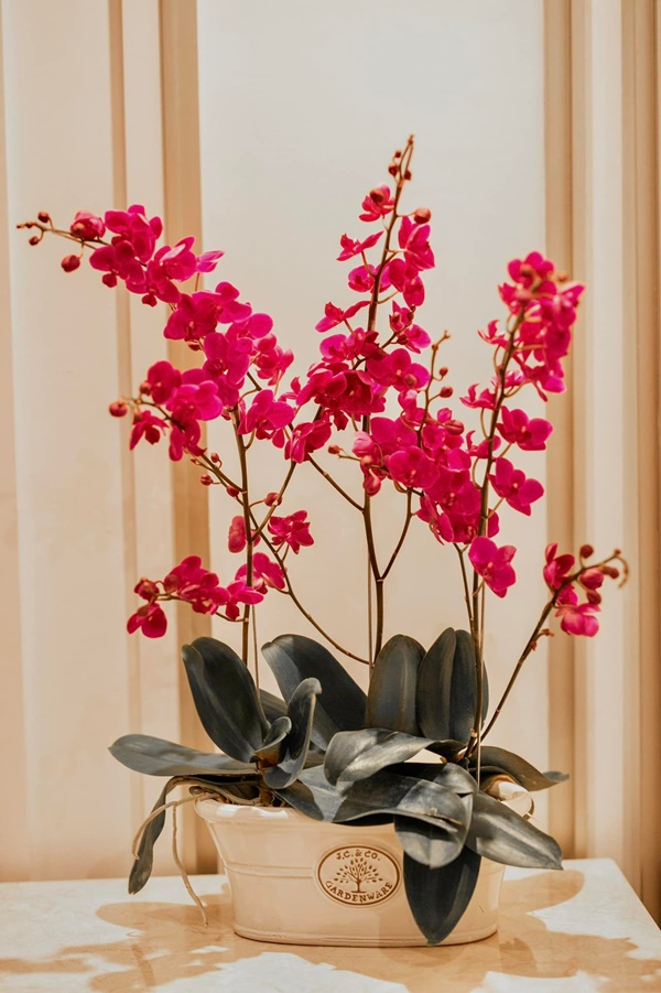 Lệ Quyên và Vũ Khắc Tiệp hé lộ thêm không gian sống thượng lưu sang chảnh và Tết ấm cúng trong biệt thự triệu đô-15