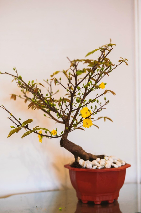 Lệ Quyên và Vũ Khắc Tiệp hé lộ thêm không gian sống thượng lưu sang chảnh&nbsp;và Tết ấm cúng trong&nbsp;biệt thự triệu đô-16