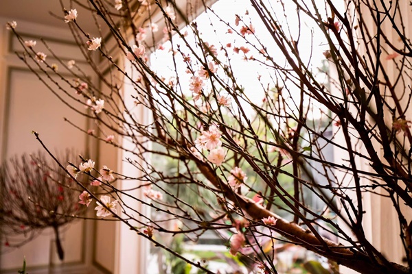 Lệ Quyên và Vũ Khắc Tiệp hé lộ thêm không gian sống thượng lưu sang chảnh và Tết ấm cúng trong biệt thự triệu đô-19