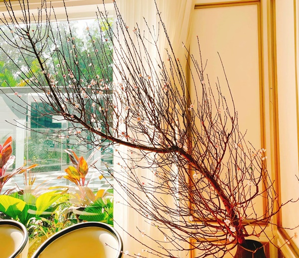 Lệ Quyên và Vũ Khắc Tiệp hé lộ thêm không gian sống thượng lưu sang chảnh và Tết ấm cúng trong biệt thự triệu đô-20