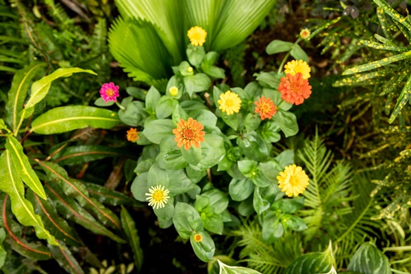 Lệ Quyên và Vũ Khắc Tiệp hé lộ thêm không gian sống thượng lưu sang chảnh và Tết ấm cúng trong biệt thự triệu đô-28