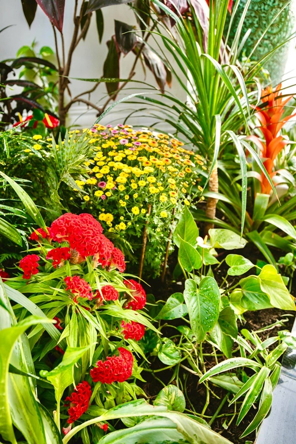 Lệ Quyên và Vũ Khắc Tiệp hé lộ thêm không gian sống thượng lưu sang chảnh và Tết ấm cúng trong biệt thự triệu đô-30