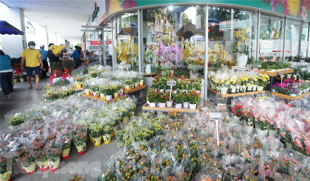 Người dân TP.HCM chi tiền triệu cho những chậu hoa nhập khẩu-1