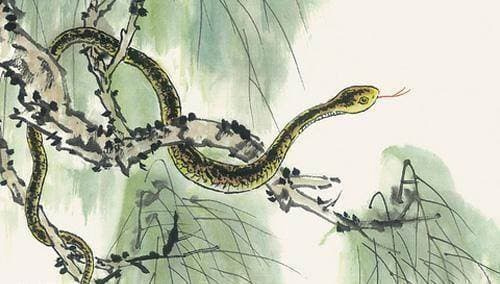 Từ 31/1 đến 11/2, 5 con giáp có vận trình tài lộc dồi dào, thu nhập tăng lên gấp bội-1