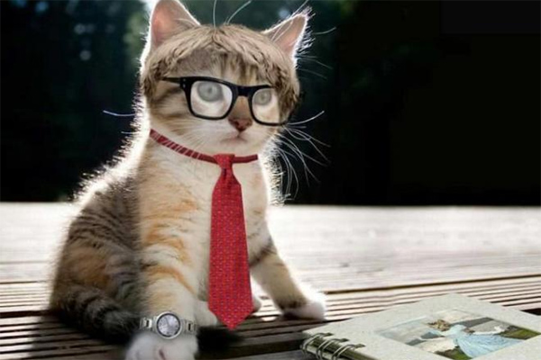 Mùng 1 Tết Nhâm Dần, 12 con giáp nên mặc màu gì, không nên mặc màu gì để cả năm hưng thịnh, may mắn?-3