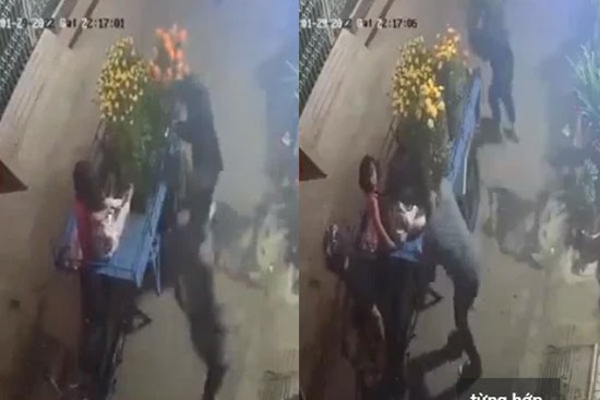 Phẫn nộ cảnh nhóm người đưa trẻ con, dùng cả xe kéo đi trộm hoa ngày Tết