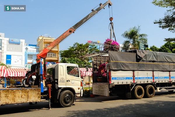 Tiểu thương vừa bán vừa đập hoa chiều 29 Tết: Giảm tận nửa giá nhưng người mua vẫn bỏ đi-4