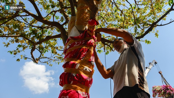 Tiểu thương vừa bán vừa đập hoa chiều 29 Tết: Giảm tận nửa giá nhưng người mua vẫn bỏ đi-5