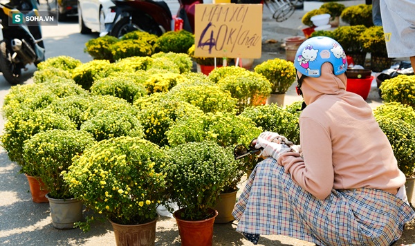 Tiểu thương vừa bán vừa đập hoa chiều 29 Tết: Giảm tận nửa giá nhưng người mua vẫn bỏ đi-6