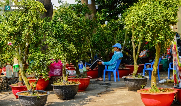 Tiểu thương vừa bán vừa đập hoa chiều 29 Tết: Giảm tận nửa giá nhưng người mua vẫn bỏ đi-9