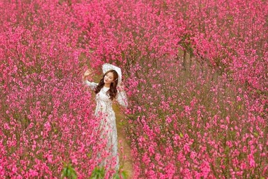 Giờ đẹp, hướng đẹp xuất hành ngày mùng 1 Tết