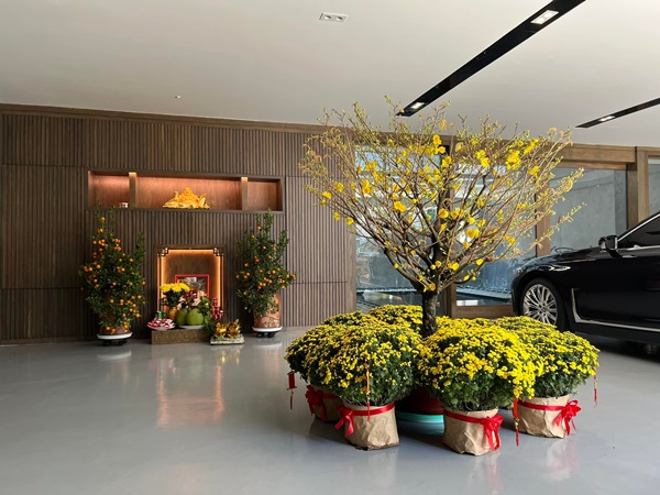 Góc nào nhà Đàm Thu Trang cũng có thể sống ảo, biệt thự hạng sang của Bảo Thy đủ các loại hoa Tết đắt tiền-4
