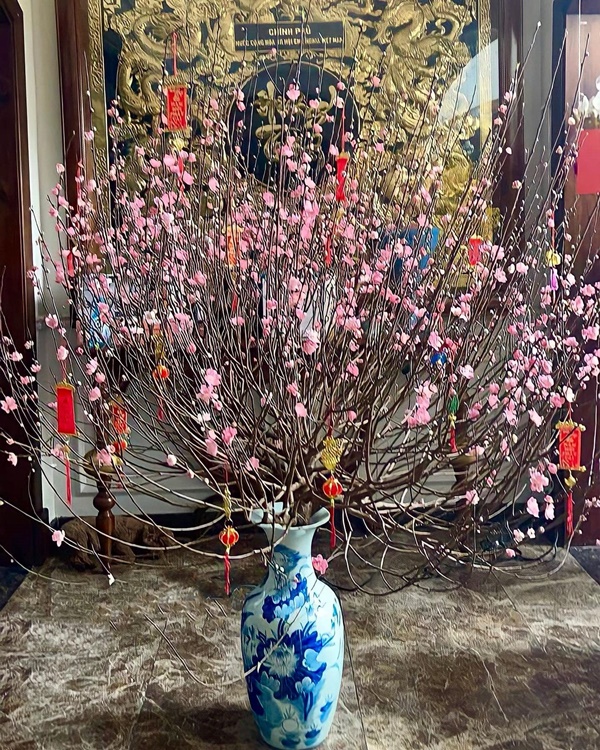 Góc nào nhà Đàm Thu Trang cũng có thể sống ảo, biệt thự hạng sang của Bảo Thy&nbsp;đủ các loại hoa Tết đắt tiền-6