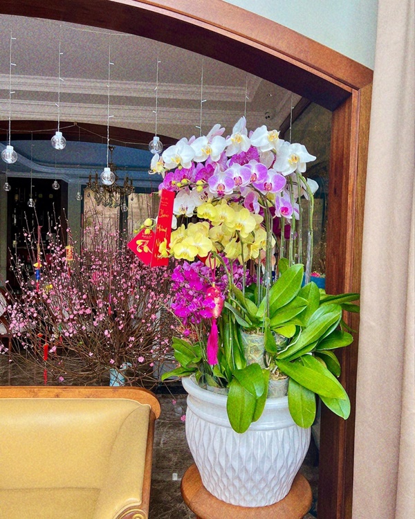 Góc nào nhà Đàm Thu Trang cũng có thể sống ảo, biệt thự hạng sang của Bảo Thy đủ các loại hoa Tết đắt tiền-9