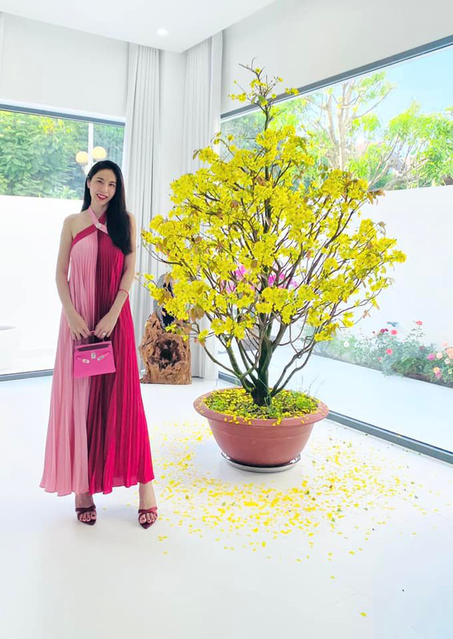 Đầu năm mới, Thủy Tiên đăng ảnh bên trong biệt thự tiền tỷ khi đang vướng lùm xùm bị hàng xóm đòi kiện-1