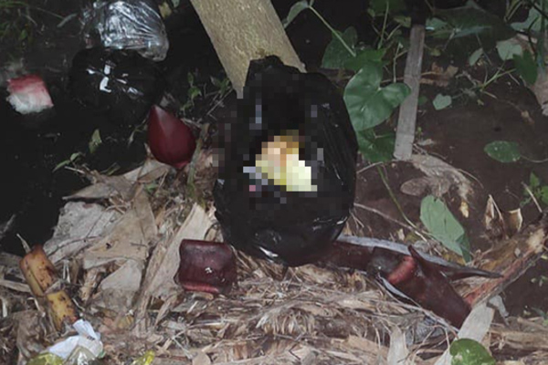 Bé trai mới sinh bị bỏ rơi ngoài vườn chuối giữa trời lạnh 10 độ C-1