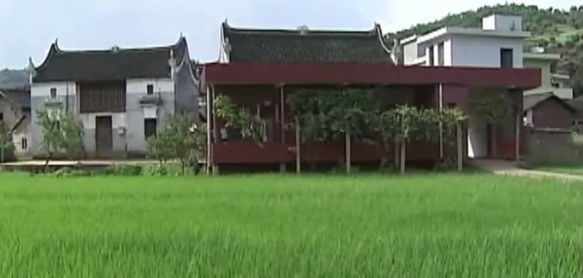 Công chúa ngủ trong rừng phiên bản Trung Quốc: Ngủ 1 tháng liền không ăn không uống, chuyên gia kiểm tra mới biết được chân tướng-1