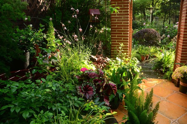 Khu vườn 50m² trong ngôi nhà cũ 18 năm tuổi khiến ai một lần ghé qua cũng phải xuýt xoa không ngớt-3