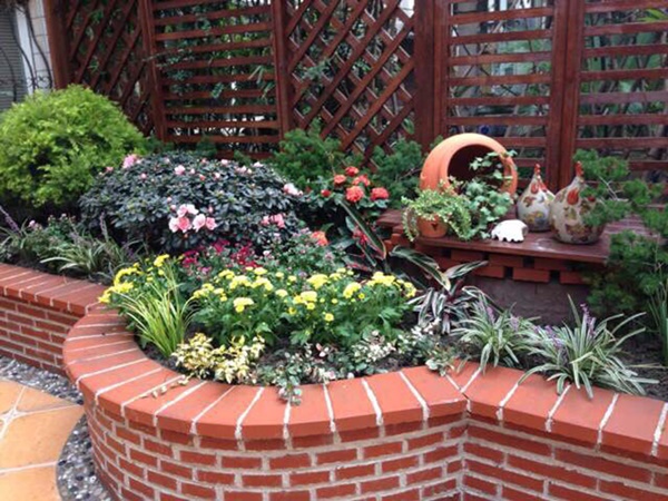 Khu vườn 50m² trong ngôi nhà cũ 18 năm tuổi khiến ai một lần ghé qua cũng phải xuýt xoa không ngớt-5