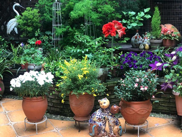 Khu vườn 50m² trong ngôi nhà cũ 18 năm tuổi khiến ai một lần ghé qua cũng phải xuýt xoa không ngớt-6