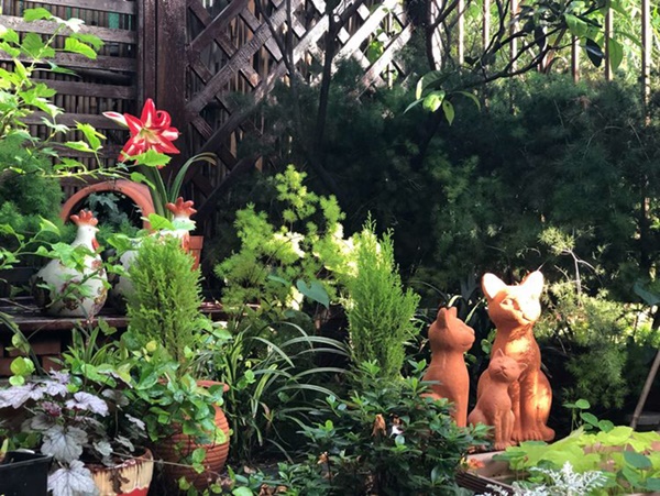 Khu vườn 50m² trong ngôi nhà cũ 18 năm tuổi khiến ai một lần ghé qua cũng phải xuýt xoa không ngớt-7