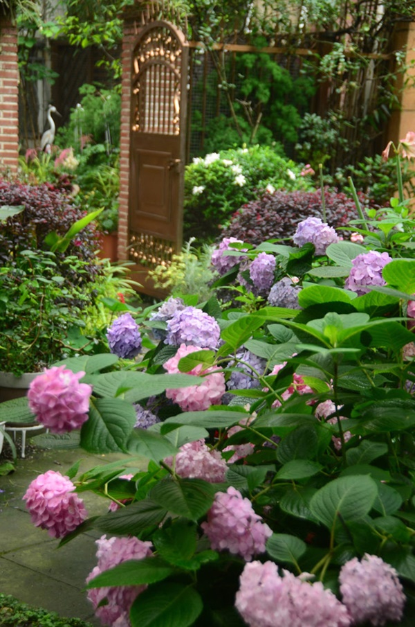 Khu vườn 50m² trong ngôi nhà cũ 18 năm tuổi khiến ai một lần ghé qua cũng phải xuýt xoa không ngớt-8