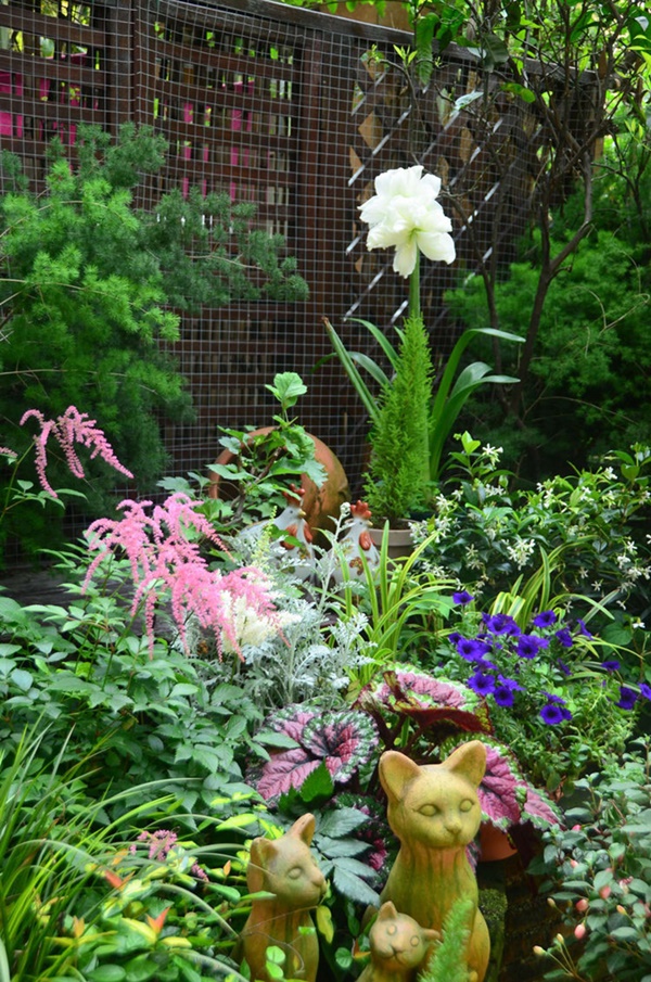 Khu vườn 50m² trong ngôi nhà cũ 18 năm tuổi khiến ai một lần ghé qua cũng phải xuýt xoa không ngớt-12