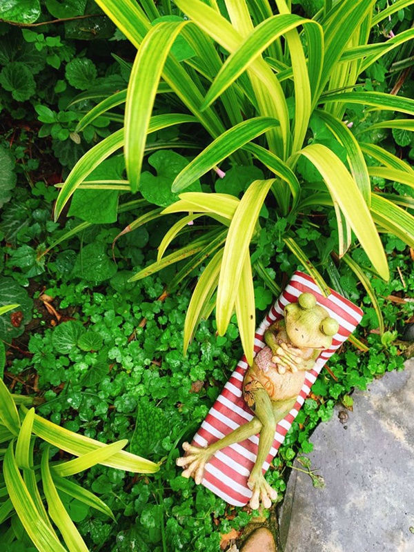 Khu vườn 50m² trong ngôi nhà cũ 18 năm tuổi khiến ai một lần ghé qua cũng phải xuýt xoa không ngớt-14