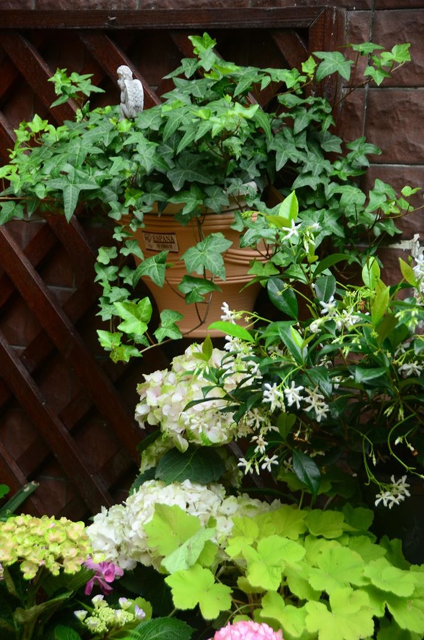 Khu vườn 50m² trong ngôi nhà cũ 18 năm tuổi khiến ai một lần ghé qua cũng phải xuýt xoa không ngớt-17