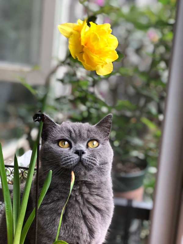 Khu vườn 50m² trong ngôi nhà cũ 18 năm tuổi khiến ai một lần ghé qua cũng phải xuýt xoa không ngớt-19