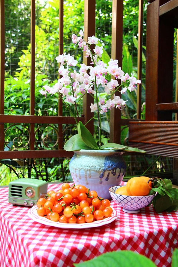 Khu vườn 50m² trong ngôi nhà cũ 18 năm tuổi khiến ai một lần ghé qua cũng phải xuýt xoa không ngớt-23