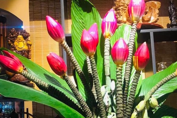 Giảm giá hơn 90%, chiếc điện thoại 68 triệu đồng giờ còn không nổi 6 triệu, có nên mua?-5