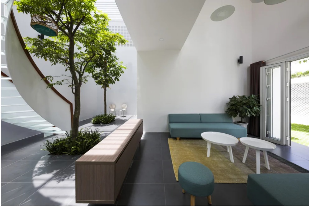 Năm mới trong nhà xuất hiện 4 dấu hiệu này điềm báo may mắn cả năm, gia chủ chuẩn bị đón hỷ tín-2