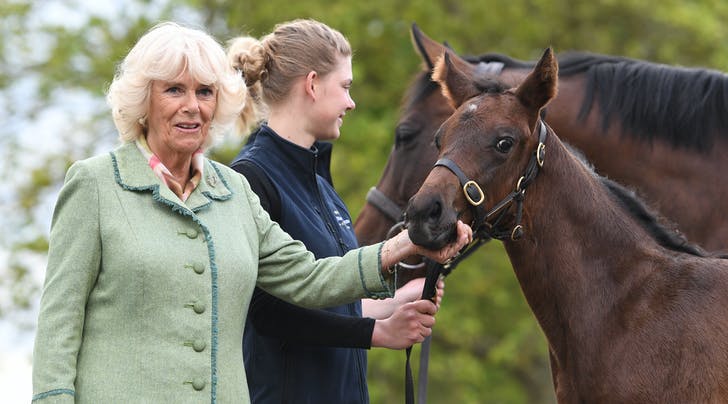 Vương hậu được Nữ hoàng Anh lựa chọn: 17 năm từ tiểu tam lên làm chính thất, chinh phục cả hoàng gia Anh nhờ 2 điều QUAN TRỌNG nhất-9