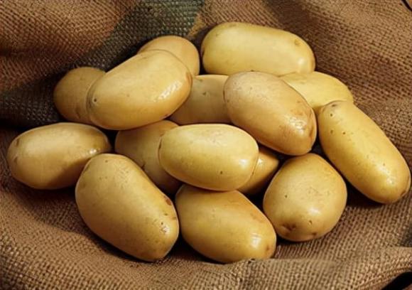 4 loại thực phẩm không nên bảo quản trong tủ lạnh, đọc xong đừng mắc phải sai lầm nữa-1