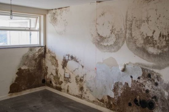 Không cần tìm thợ sửa chữa tường nhà đã “mốc meo”! Mách bạn một mẹo 'vá tường + sơn vá' ngay cả phụ nữ cũng có thể sửa được