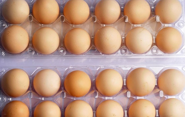 Trứng không được cho vào tủ lạnh trực tiếp, dạy bạn mẹo nhỏ này trứng thường giữ được lâu hơn-4
