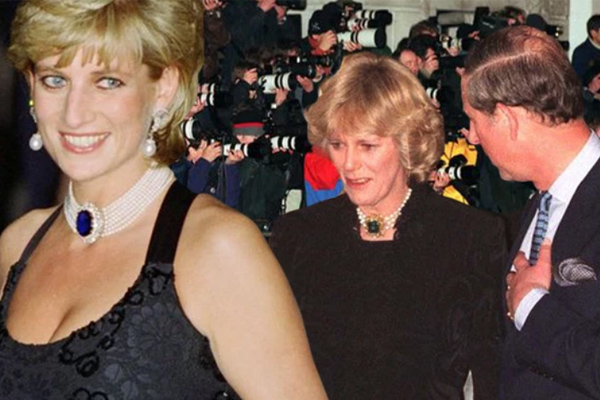 Câu chuyện đắng chát ít ai biết đằng sau bức ảnh Công nương Diana công khai trò chuyện với tình địch Camilla-4