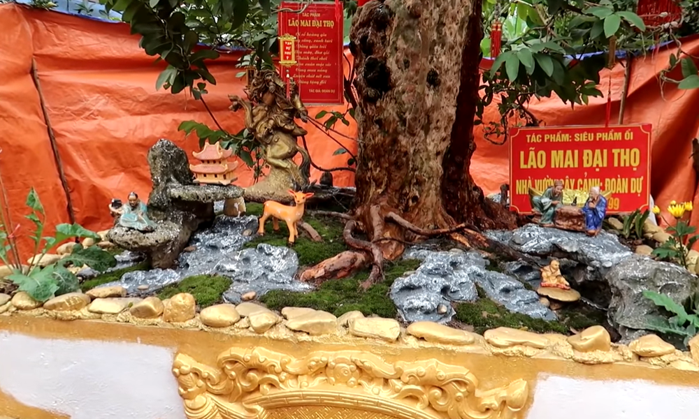 Cây ổi lạ rao bán 15 tỷ khiến dân mạng thốt lên: Ngáo giá, tiền đâu phải lá đa lá mít-2