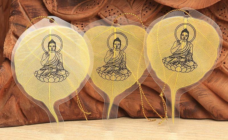 Giá bán 500 nghìn đồng/lá, đây là loại lá cây đắt đỏ nhất đầu năm mới-3