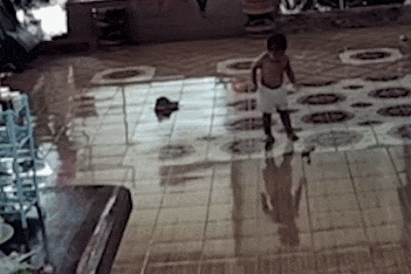 Clip: Đang học online, bé gái tá hỏa phát hiện rắn hổ mang bò vào nhà-1