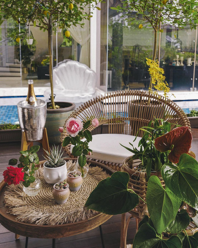 Được chu cấp 10 tỷ/tháng, bà hoàng Hermes có thú vui làm vườn trong dinh thự 63 triệu đô, ấp ủ nuôi 1 con công hơn trăm triệu-15