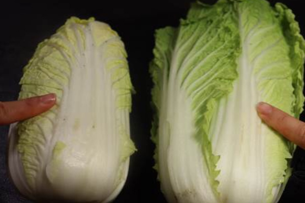 Bên trong và bên ngoài của nồi cơm điện đầy những thứ bẩn, dạy bạn một mẹo nhỏ, lau sạch và sáng choang như mới trong 3 phút-7