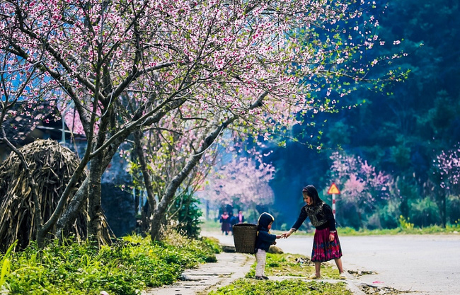 Miền Bắc rét đậm, rét hại tới bao giờ?-1