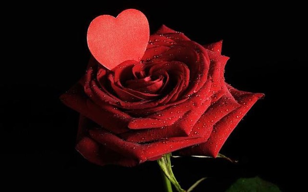 Những lời chúc Valentine bằng tiếng Anh gây rung động nhất, mới nghe đã thấy yêu-3