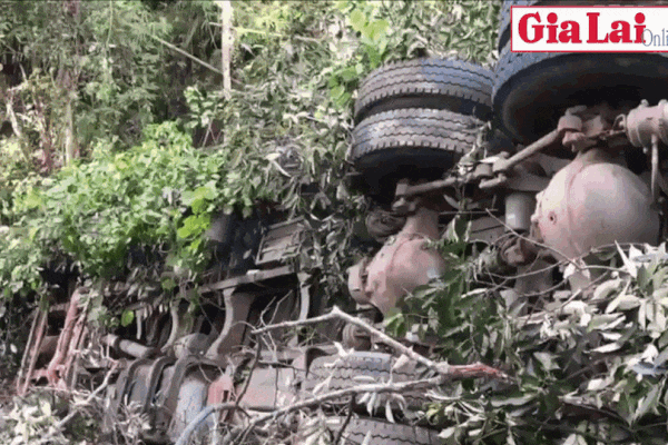 Chân dung Nam vương Việt Nam Quốc tế Nguyễn Bảo Linh đang bị công an ráo riết truy tìm-5