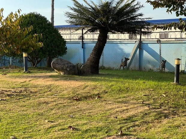 Đại gia Bạc Liêu rao bán gấp biệt phủ 200 tỷ khiến dân mạng sốc tận óc: Rộng 8,3 ha tầm cỡ khu du lịch, lối sống xa hoa không kém gì vua chúa-19